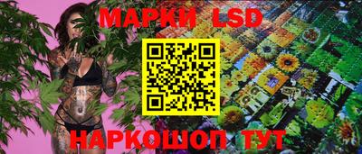 стаф Краснознаменск