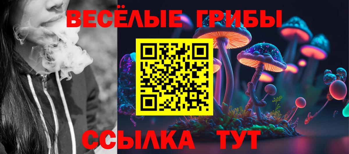 Псилоцибиновые грибы Psilocybe  Вход с VPN  Псилоцибиновые грибы прущие грибы  Добрянка 