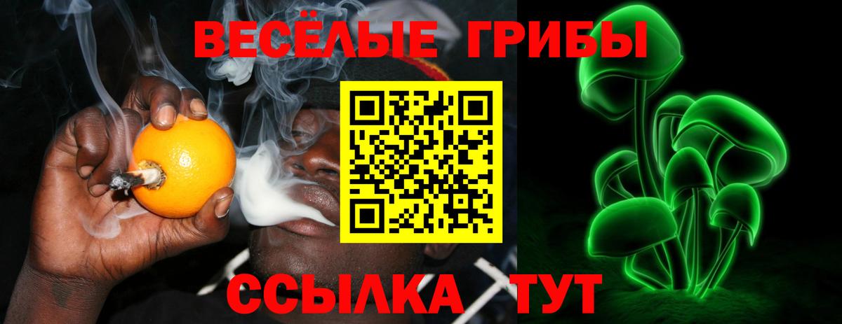 Псилоцибиновые грибы Magic Shrooms Добрянка